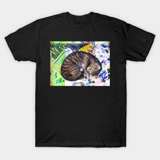 Patchwork cat T-Shirt